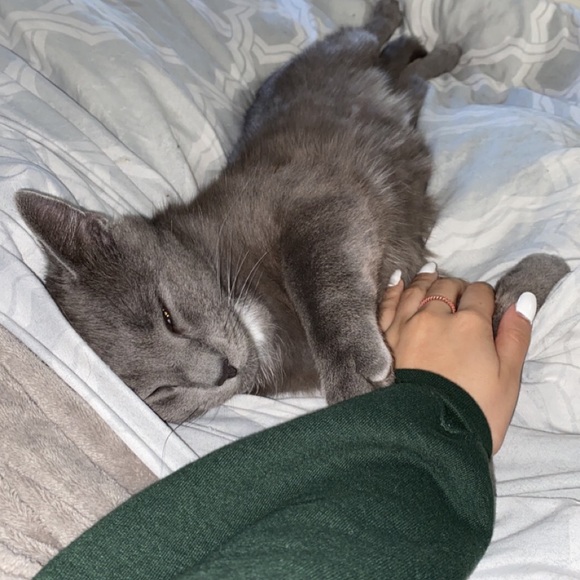 Meet your Posher, Robin - Picture 1 of 1